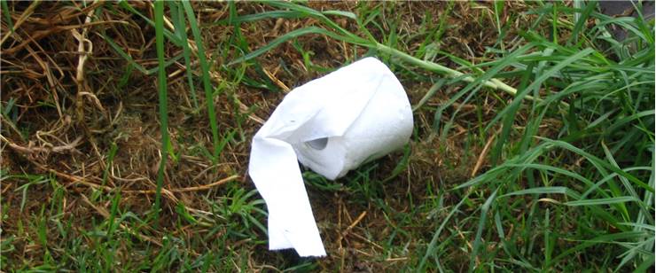 Necessary Toilet Paper