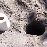 Toilet Paper In Nature