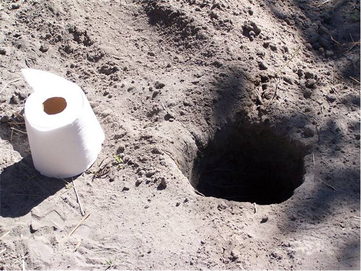 Toilet Paper In Nature