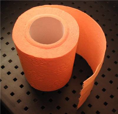 Toilet Paper Roll