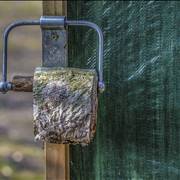 Old Toilet And Toilet Paper